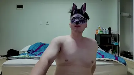 bori1617 webcam stripchat model stream image